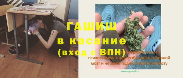 трава Болотное