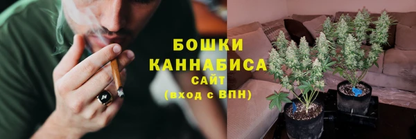 ПСИЛОЦИБИНОВЫЕ ГРИБЫ Покачи