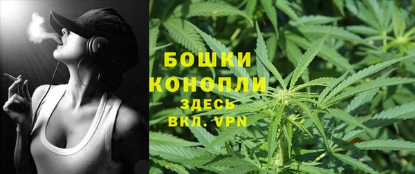 ПСИЛОЦИБИНОВЫЕ ГРИБЫ Покачи