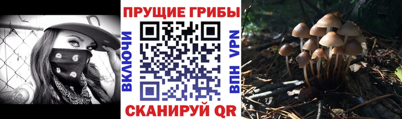 Псилоцибиновые грибы мухоморы  mega ТОР  Краснообск 